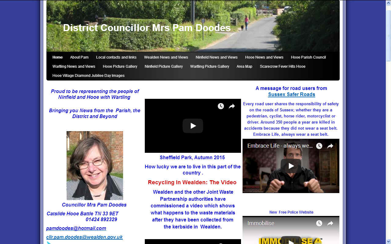 Pam Doodes' website homepage
