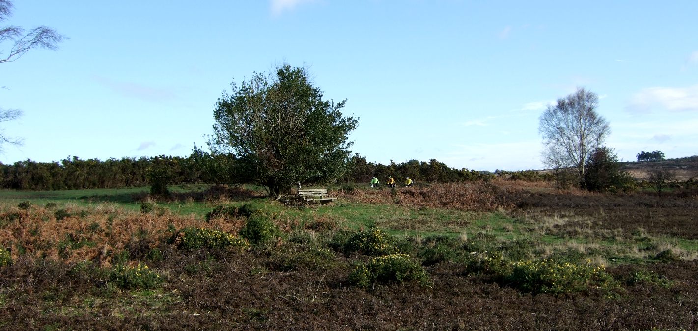 The Ashdown Forest and bike riders